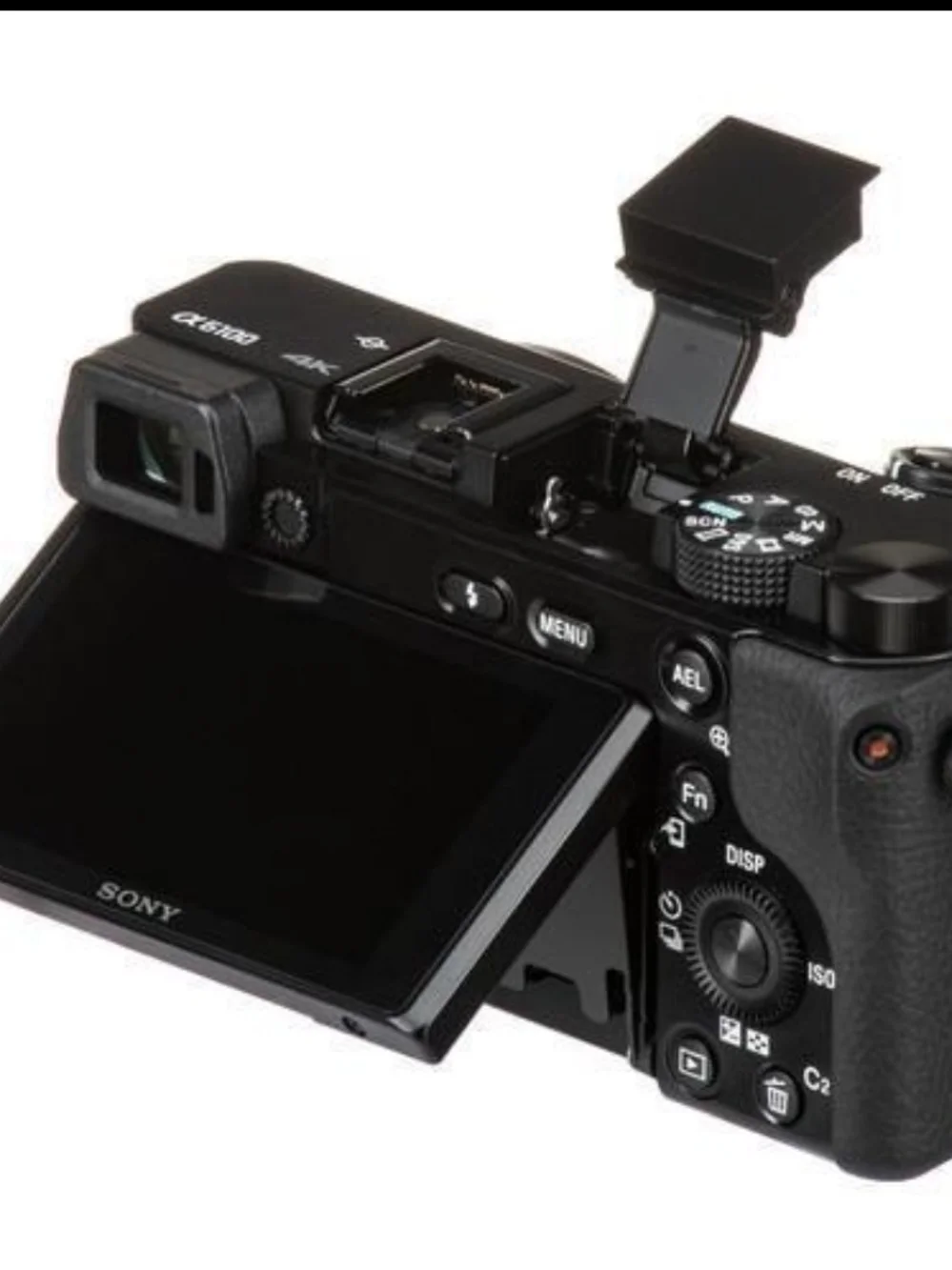 Sony Black Mirrorless Camera Body (Black)